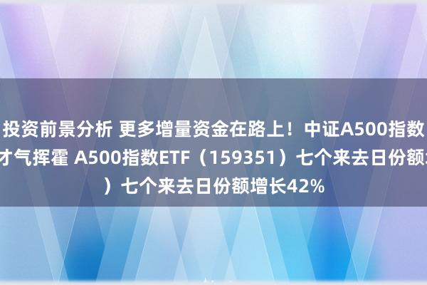 投资前景分析 更多增量资金在路上！中证A500指数“吸金”才气挥霍 A500指数ETF（159351）七个来去日份额增长42%