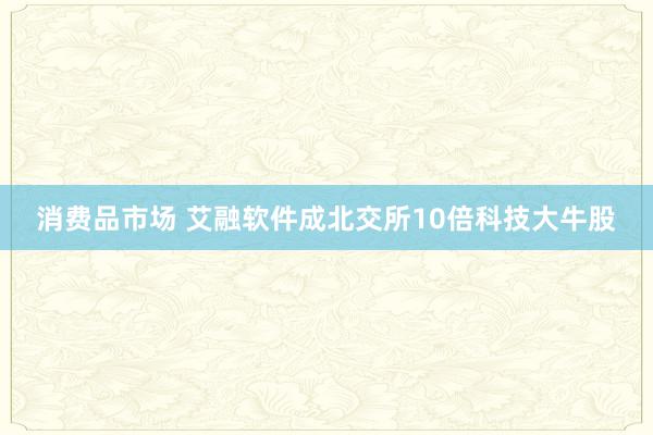 消费品市场 艾融软件成北交所10倍科技大牛股