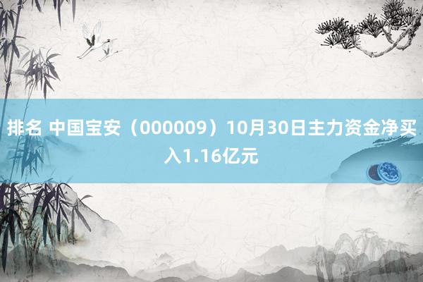 排名 中国宝安（000009）10月30日主力资金净买入1.16亿元