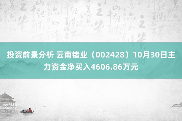 投资前景分析 云南锗业（002428）10月30日主力资金净买入4606.86万元