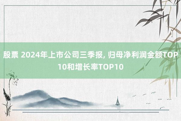 股票 2024年上市公司三季报, 归母净利润金额TOP10和增长率TOP10