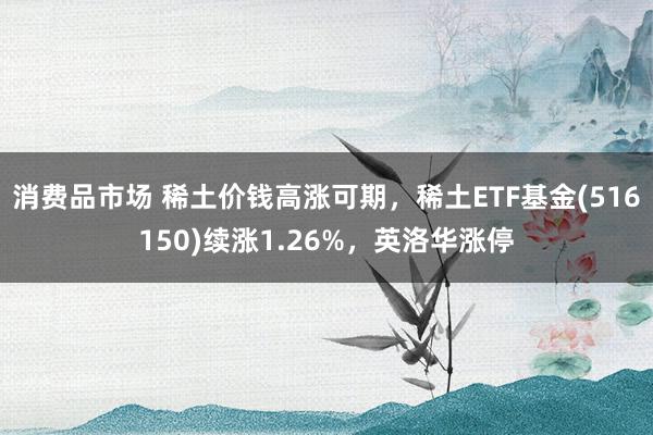 消费品市场 稀土价钱高涨可期，稀土ETF基金(516150)续涨1.26%，英洛华涨停