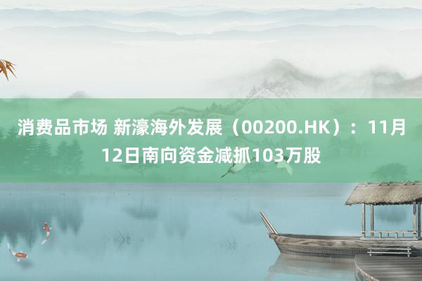 消费品市场 新濠海外发展（00200.HK）：11月12日南向资金减抓103万股