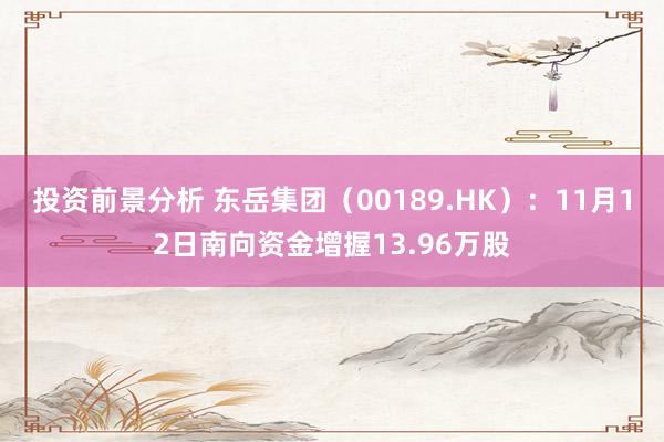 投资前景分析 东岳集团（00189.HK）：11月12日南向资金增握13.96万股