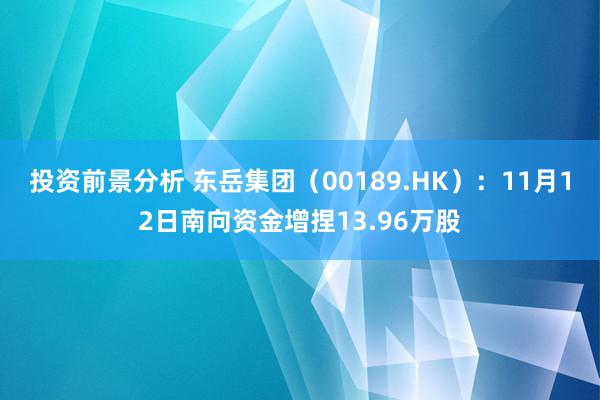 投资前景分析 东岳集团（00189.HK）：11月12日南向资金增捏13.96万股