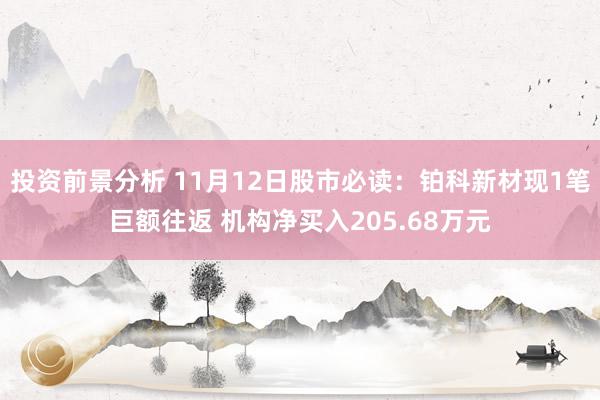 投资前景分析 11月12日股市必读：铂科新材现1笔巨额往返 机构净买入205.68万元