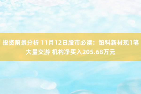 投资前景分析 11月12日股市必读：铂科新材现1笔大量交游 机构净买入205.68万元