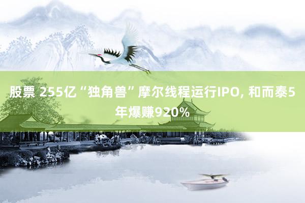 股票 255亿“独角兽”摩尔线程运行IPO, 和而泰5年爆赚920%