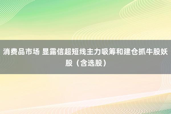 消费品市场 显露信超短线主力吸筹和建仓抓牛股妖股（含选股）