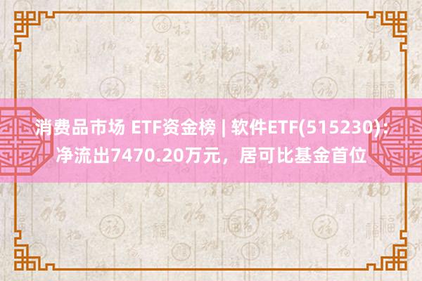 消费品市场 ETF资金榜 | 软件ETF(515230)：净流出7470.20万元，居可比基金首位