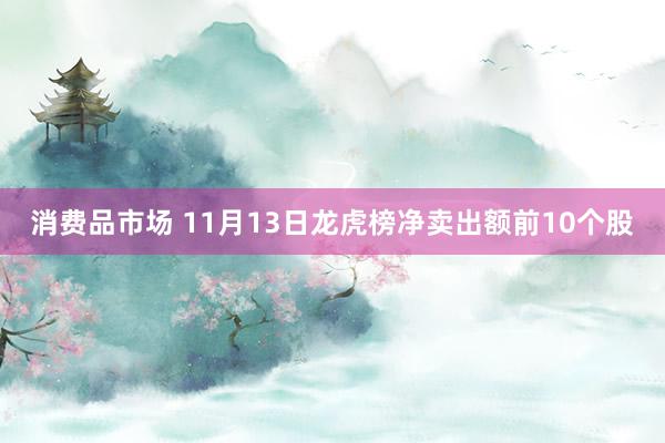 消费品市场 11月13日龙虎榜净卖出额前10个股