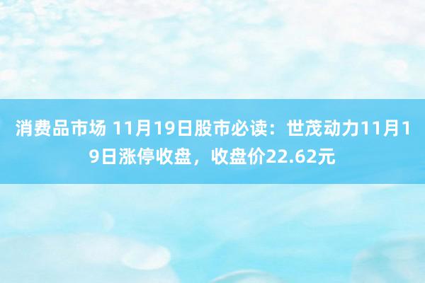 消费品市场 11月19日股市必读：世茂动力11月19日涨停收盘，收盘价22.62元