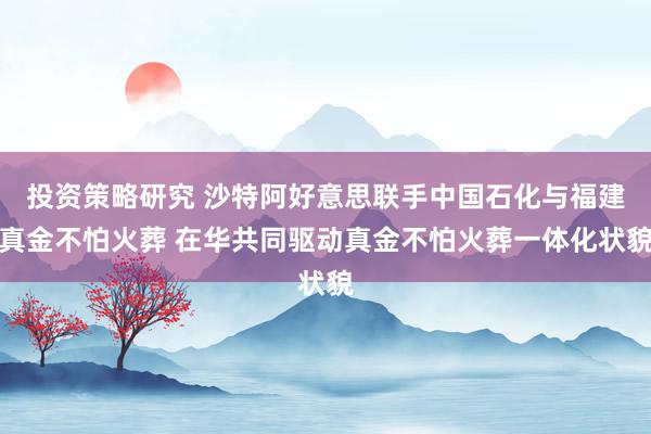 投资策略研究 沙特阿好意思联手中国石化与福建真金不怕火葬 在华共同驱动真金不怕火葬一体化状貌