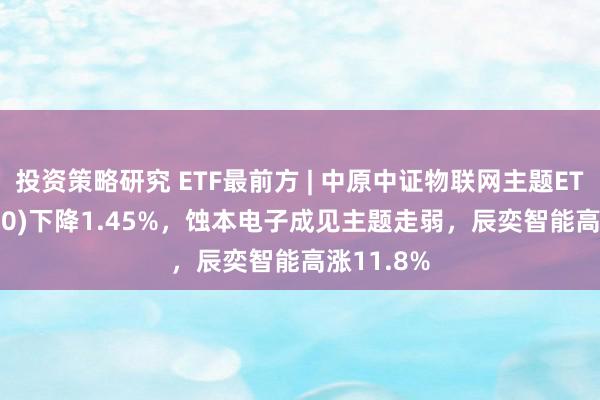 投资策略研究 ETF最前方 | 中原中证物联网主题ETF(516260)下降1.45%，蚀本电子成见主题走弱，辰奕智能高涨11.8%