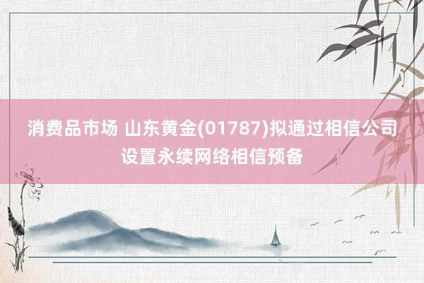 消费品市场 山东黄金(01787)拟通过相信公司设置永续网络相信预备