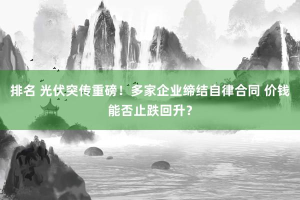 排名 光伏突传重磅！多家企业缔结自律合同 价钱能否止跌回升？