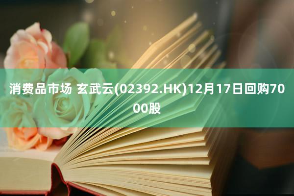 消费品市场 玄武云(02392.HK)12月17日回购7000股