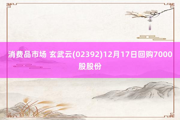 消费品市场 玄武云(02392)12月17日回购7000股股份