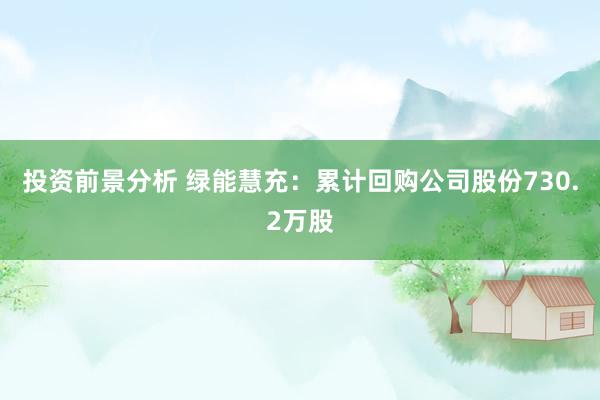 投资前景分析 绿能慧充：累计回购公司股份730.2万股