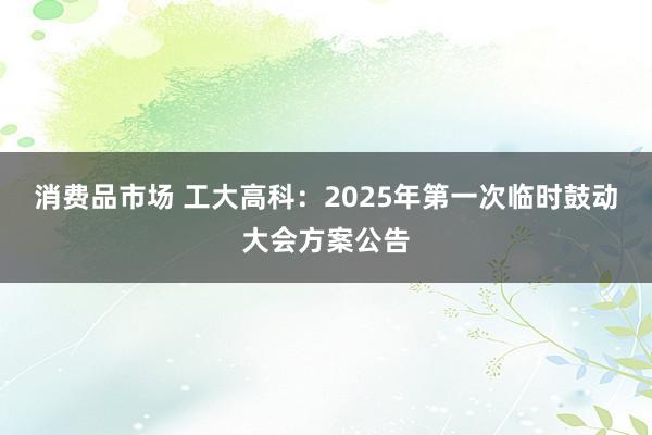 消费品市场 工大高科：2025年第一次临时鼓动大会方案公告