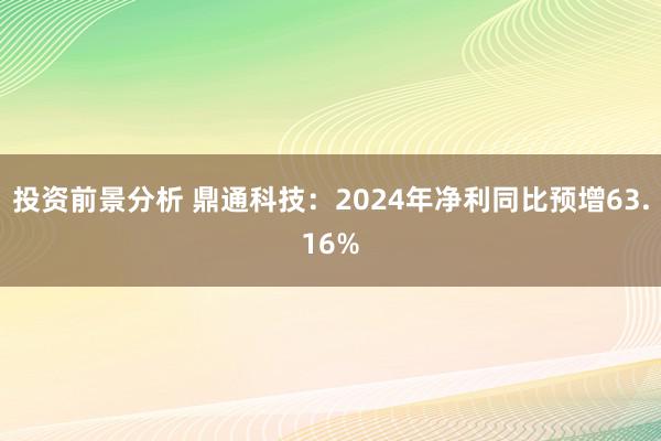 投资前景分析 鼎通科技：2024年净利同比预增63.16%