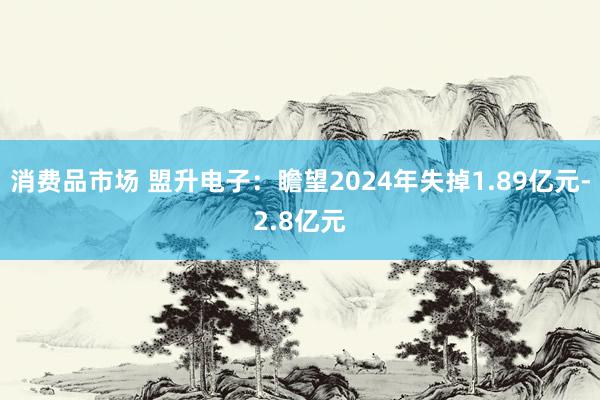 消费品市场 盟升电子：瞻望2024年失掉1.89亿元-2.8亿元