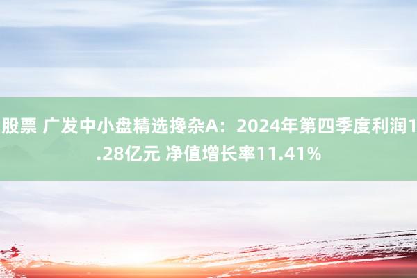 股票 广发中小盘精选搀杂A：2024年第四季度利润1.28亿元 净值增长率11.41%