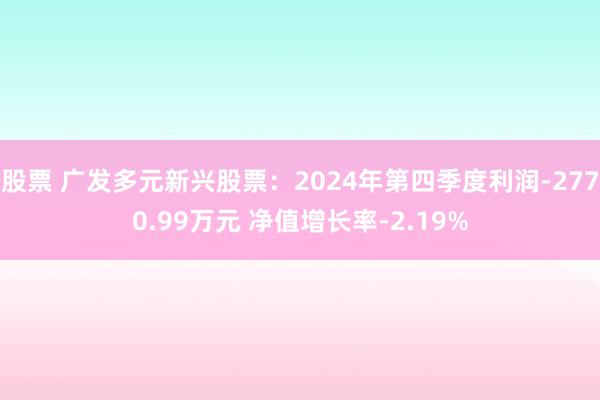 股票 广发多元新兴股票：2024年第四季度利润-2770.99万元 净值增长率-2.19%