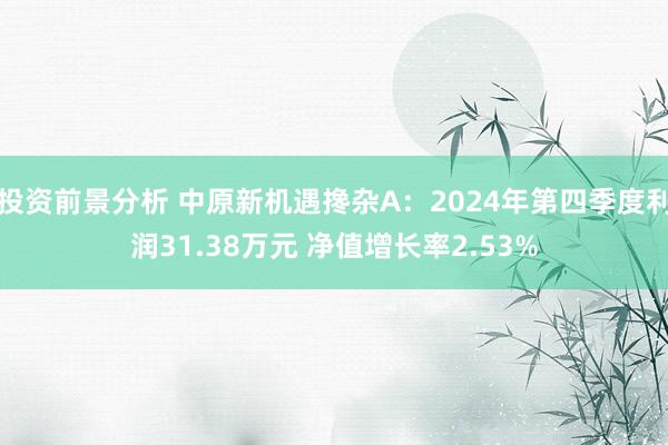 投资前景分析 中原新机遇搀杂A：2024年第四季度利润31.38万元 净值增长率2.53%