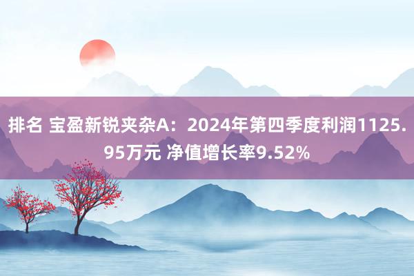 排名 宝盈新锐夹杂A：2024年第四季度利润1125.95万元 净值增长率9.52%