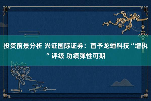 投资前景分析 兴证国际证券：首予龙蟠科技“增执”评级 功绩弹性可期