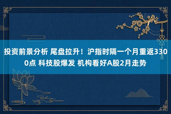 投资前景分析 尾盘拉升！沪指时隔一个月重返3300点 科技股爆发 机构看好A股2月走势