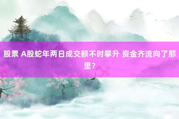 股票 A股蛇年两日成交额不时攀升 资金齐流向了那里？