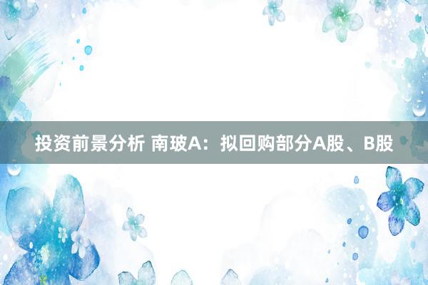 投资前景分析 南玻A：拟回购部分A股、B股