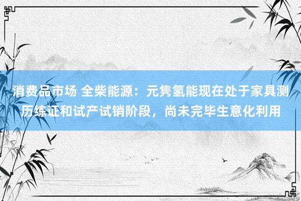 消费品市场 全柴能源：元隽氢能现在处于家具测历练证和试产试销阶段，尚未完毕生意化利用