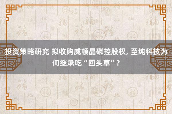 投资策略研究 拟收购威顿晶磷控股权, 至纯科技为何继承吃“回头草”?