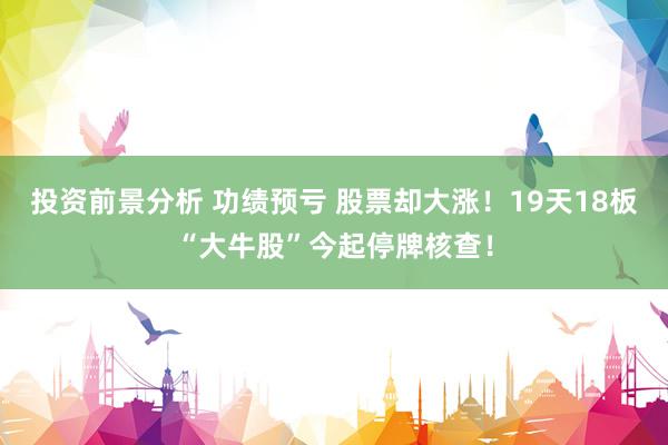 投资前景分析 功绩预亏 股票却大涨！19天18板“大牛股”今起停牌核查！