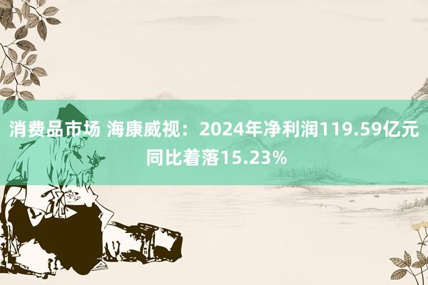 消费品市场 海康威视：2024年净利润119.59亿元 同比着落15.23%