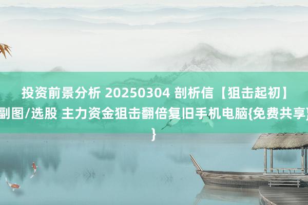 投资前景分析 20250304 剖析信【狙击起初】副图/选股 主力资金狙击翻倍复旧手机电脑{免费共享}