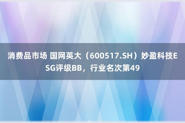 消费品市场 国网英大（600517.SH）妙盈科技ESG评级BB，行业名次第49