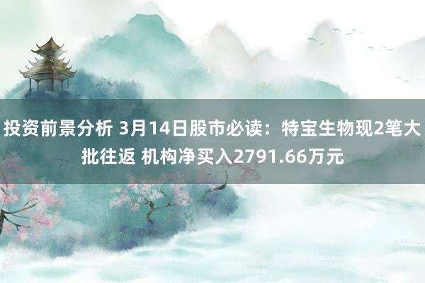 投资前景分析 3月14日股市必读：特宝生物现2笔大批往返 机构净买入2791.66万元