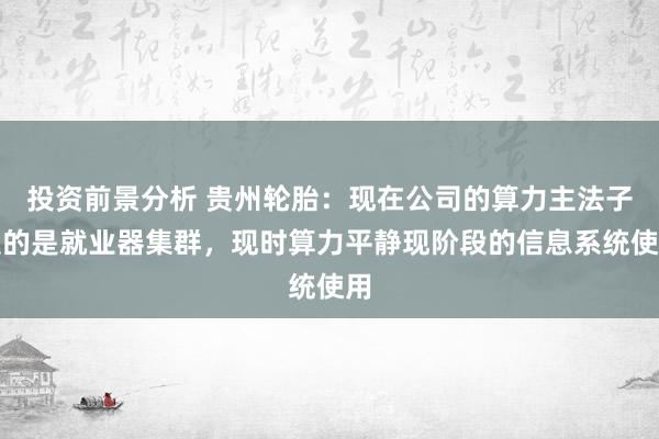 投资前景分析 贵州轮胎：现在公司的算力主法子受的是就业器集群，现时算力平静现阶段的信息系统使用