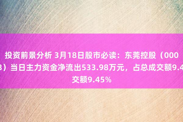 投资前景分析 3月18日股市必读：东莞控股（000828）当日主力资金净流出533.98万元，占总成交额9.45%