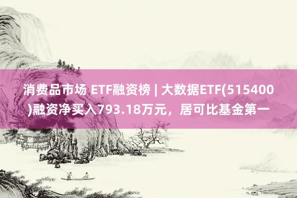 消费品市场 ETF融资榜 | 大数据ETF(515400)融资净买入793.18万元，居可比基金第一